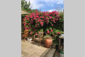 Contact for Mon-fri deals