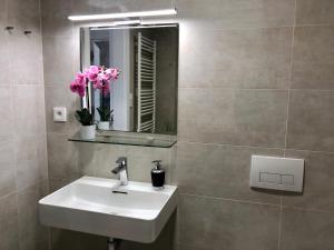 Apartment with Terrace room in Business Apartments