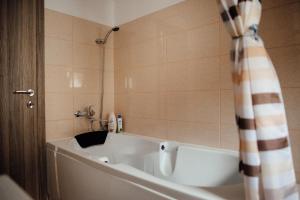 Autentic Adorabil Apartment