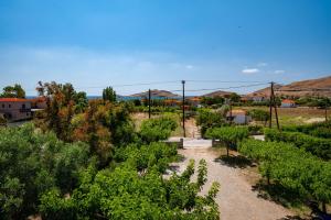 DESPOINA APARTMENTS Limnos Greece