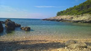 Planika Apartments 1