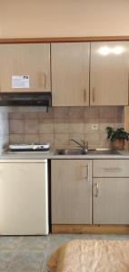 Standard Apartment room in Xenia Palace luxury apartments