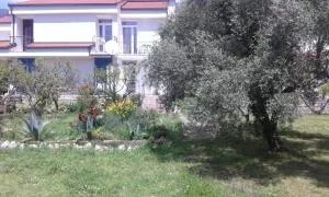 Two bedroom ap in the garden - Midžorove Kuće