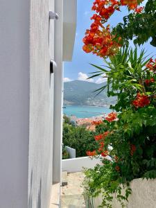 Kalimera homes Skopelos Greece