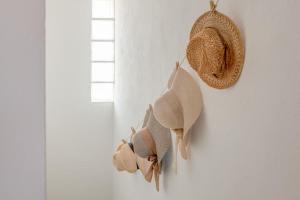 House 60m from the beach