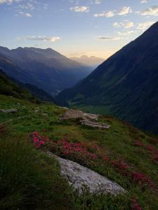 Donneralm