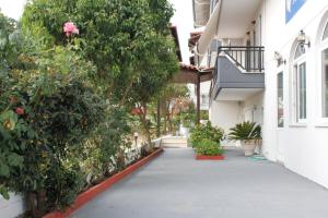 Katerina Apartments and Studios Olympos Greece