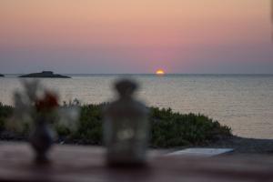 Aktaia Skyros Greece