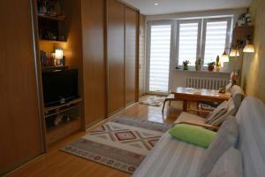 Apartament w centrum Helu