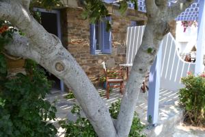 Ioanna Studios Tinos Greece