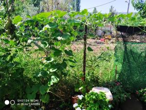 Magdalini Studio Lesvos Greece