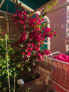 BLU DI LERICI - zona tranquilla due passi dal mare