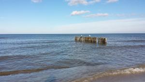 Dom Rybaka apartament 4