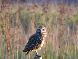 Refugio En Las Sierras