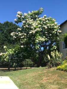 Maisons d'hotes LA MAISON D INES & Spa - : photos des chambres