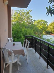 Apartments Helena Pomer