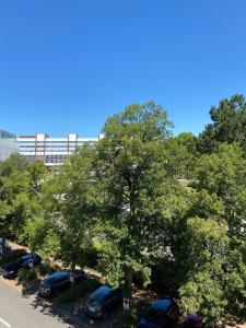 La Résidence de lOrangerie