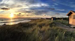 Paradise Beach Surf Bugalow Small - Kõpu