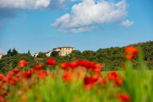 Maisons de vacances Location prestige 450 m2 dans Chateau en Provence : photos des chambres
