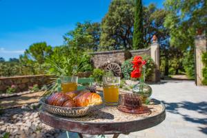 Maisons de vacances Location prestige 450 m2 dans Chateau en Provence : photos des chambres