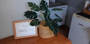 Apartament w Oliwie