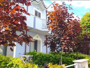 Margherita Rimini - Appartamenti al Mare