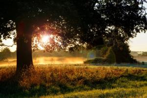 Pontlands Park Hotel