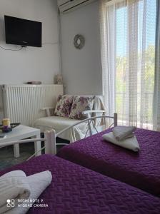 Nancy Rooms