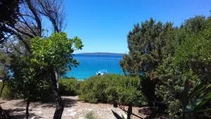 Casula Mediterranea - Vele Srakane