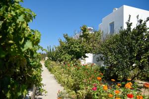 Flora & Agelos Studios Paros Greece