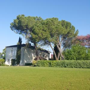 Maisons de vacances Domaine de la Brette : photos des chambres