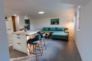 Vineyard cottage Radulja 