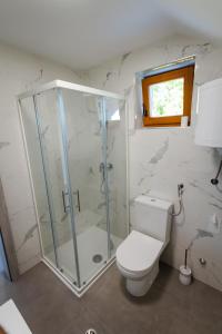 Vineyard cottage Radulja