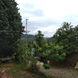 Homestay Kak soh at KampungKalai, Jeli Kelantan