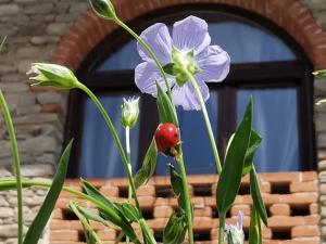 Agriturismo Mondo