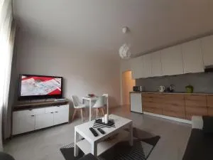 Apartamenty Lewa - 兹盖日