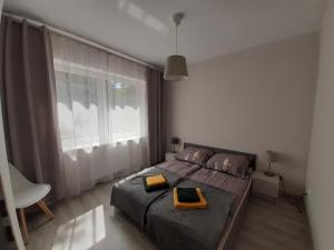 Apartamenty Lewa