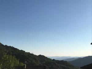 Agriturismo La Rosa Spina