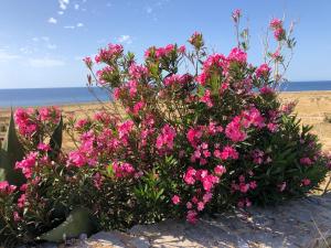 Casetta Calamancina
