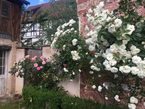 Les Chambres De L'atelier photo 21