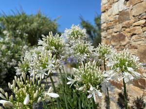 Seaside Naxos • Holiday Villas