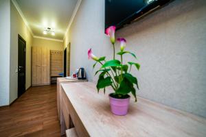 Comfort Triple Room room in Anzhelica guest house