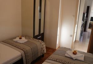 Two-Bedroom Apartment with Terrace room in Apartments Marina