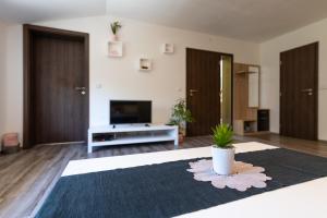 Apartmán U Křížku