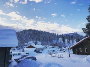Alpstigen 6B - 6 bäddars fjällstuga mitt i Järvsöbacken