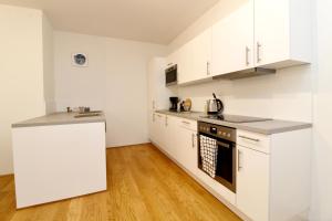 Spacious Terrace Apt in Modern Klosterneuburg Building