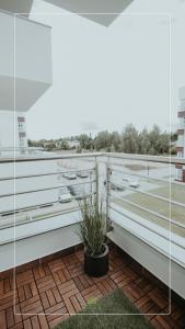 Apartament NOVA