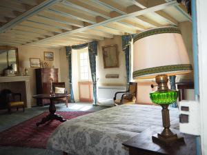 B&B / Chambres d'hotes Gentilhommiere de Lurcy le Bourg : photos des chambres