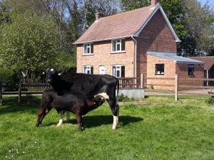 Church Farm, Legbourne Louth