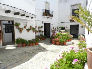 Casa Lola, La Plazoleta